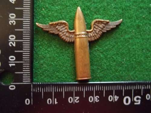 Unknown winged bullet badge. (no lugs)