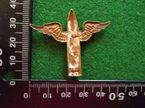 Unknown winged bullet badge. (no lugs)