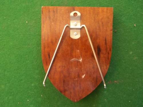 BLANK WOODEN PLAQUE