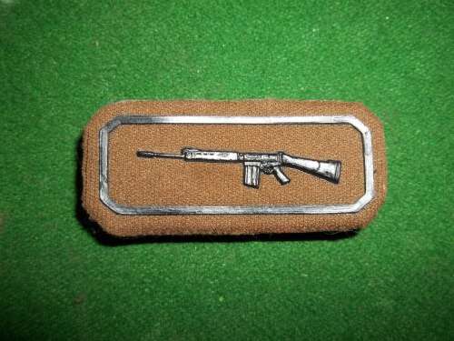 SADF .. MARKSMAN PROFF BADGE .. PLASTIC TYPE .. PINS INTACT