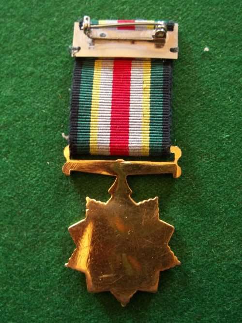 South Africa Emergency services, 10 year service medal (full size)