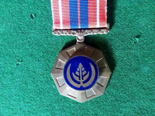 SADF .. PRO PATRIA MEDAL (full size) earlier type with seperately attached front enamel badge