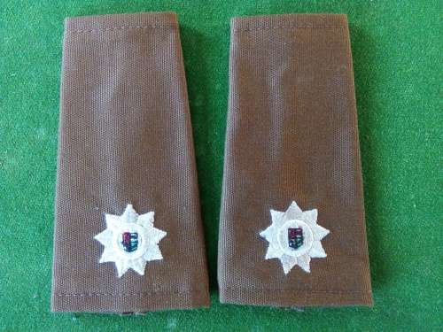 SADF MAJOR SLIP ON RANK PAIR (LAST NUTRIA RANKS)