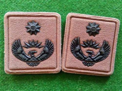 SANDF .. LT COL RANK PAIR (NUTRIA COLLAR) IRON ON