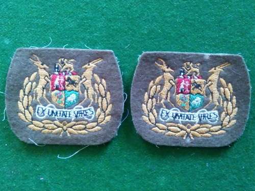 SADF WO1 EMBROIDED RANK PAIR (COLOUR) .. ONE BADGE WITH MOTH DAMADGE