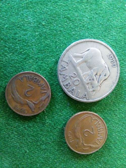 LOT OF 3 x MALAWI COINS ... CIRCULATED