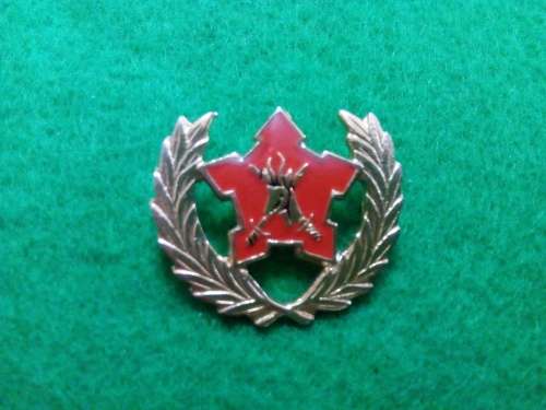 SADF .. SA ARMY 5 YEAR VOLUNTEER SERVICE AWARD .. PINS INTACT