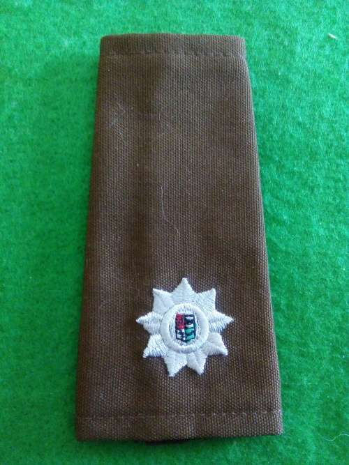 SADF ... SINGLE MAJOR SLIP ON RANK ... LAST NUTRIA DRESS