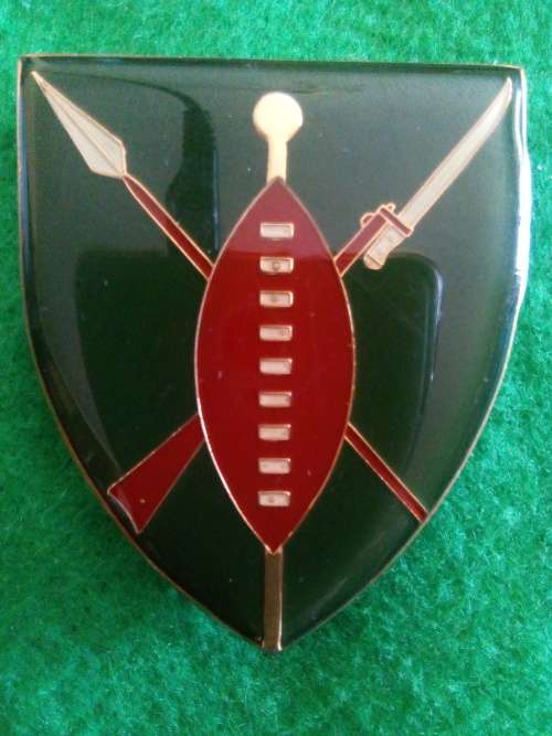 SADF .. METAL SHOULDER FLASH TRANSKEI DEF FORCES  ... PINS INTACT