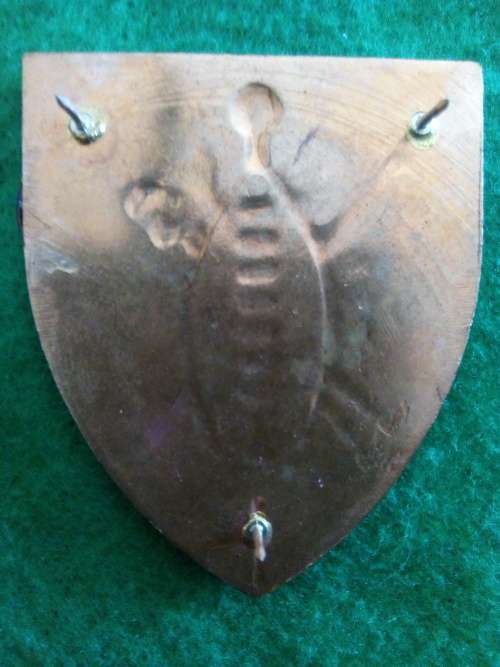 SADF .. METAL SHOULDER FLASH TRANSKEI DEF FORCES  ... PINS INTACT