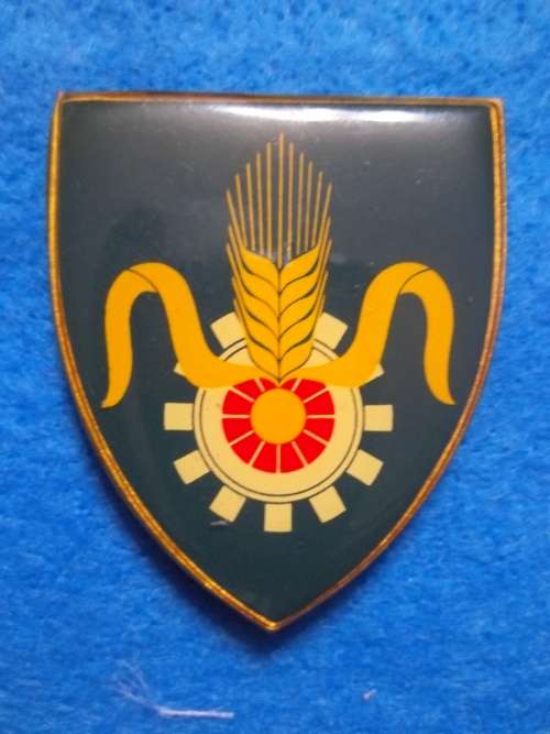 SADF .. QM GENERAL METAL SHOULDER FLASH .. ALL PINS INTACT