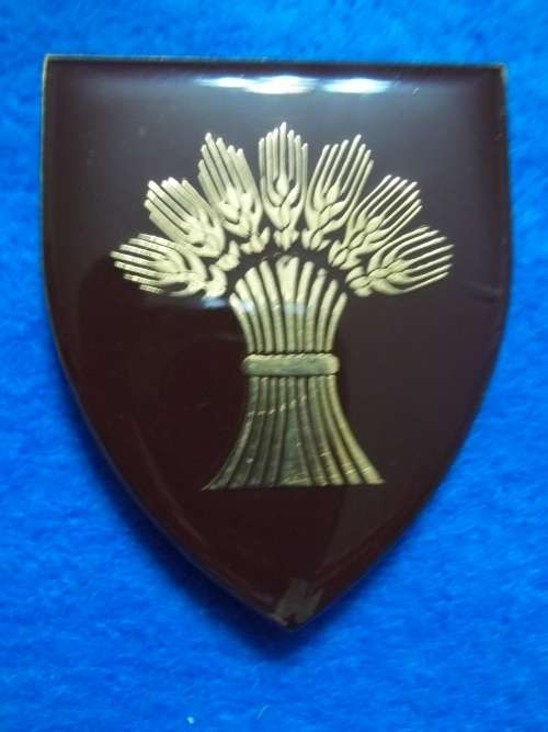 SADF ..BETLEHEM COMMANDO  METAL SHOULDER FLASH .. ALL PINS INTACT