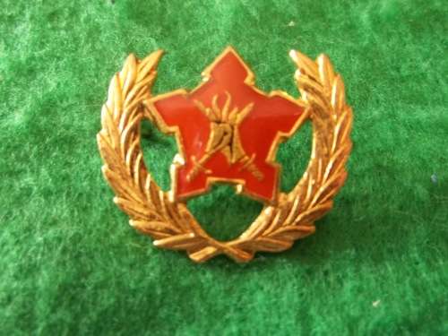 SADF ARMY 5 YEAR VOLUNTEER SERVICE AWARD ... PINS INTACT