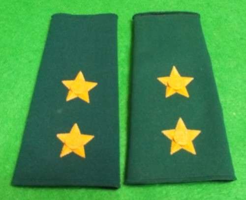 SA PRISON / CORRECTIONAL SERVICES PRE 1994 SLIP ON RANK PAIR