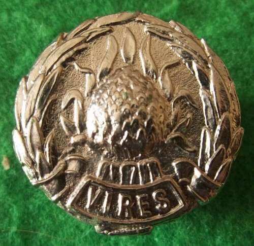 SADF REGT BOLAND BERET BADGE 30 x 30 mm - SCREW POSTS INTACT