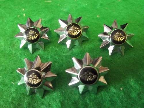 SANDF -  5 X SMALL 9 POINT STAR (PROTEA) PIPS - ALL PINS INTACT