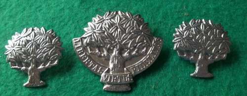 SADF - REGT PRESIDENT STEYN CAP AND COLLAR BADGE SET (Shortened lugs on cap badge)