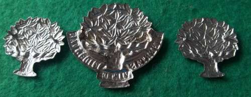 SADF - REGT PRESIDENT STEYN CAP AND COLLAR BADGE SET (Shortened lugs on cap badge)