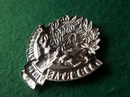 SADF - REGT PRESIDENT STEYN CAP AND COLLAR BADGE SET (Shortened lugs on cap badge)