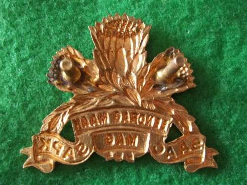 SADF - SAAC GILDING CAP BADGE - SCREW POSTS INTACT