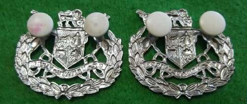 SADF - WO1 METAL RANK PAIR - PINS INTACT