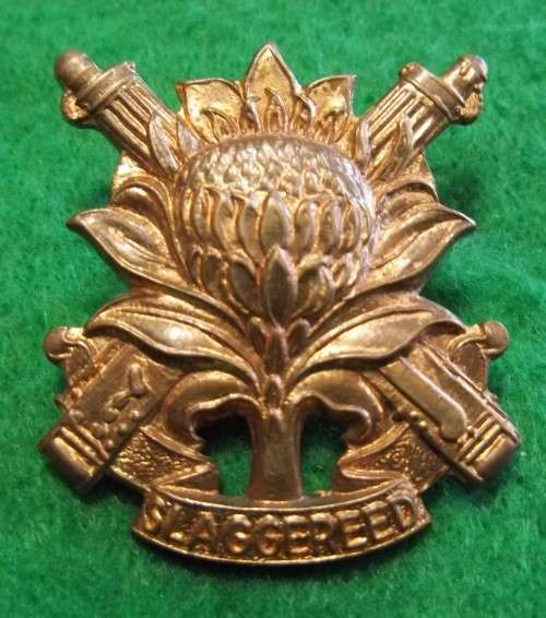 SADF - REGIMENT LANGENHOVEN CAP BADGE - SCREW POSTS INTACT