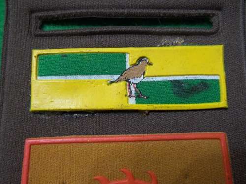 SADF - REGIMENT DE WET SHOULDER FLASH - (SEE DESCRIPTION)