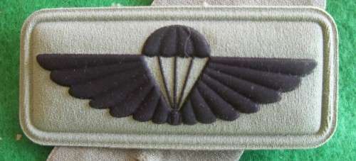 SANDF AIR SUPPLY INSTRUCTOR (RUBBERISED) - PINS INTACT