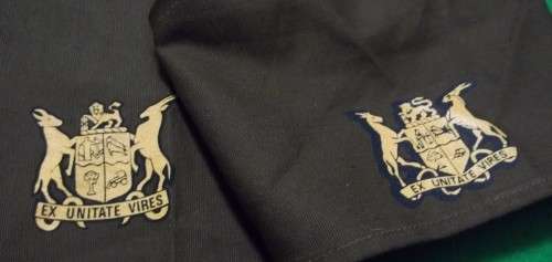 SADF - WO2  PRINTED NUTRIA RANK SLEEVES