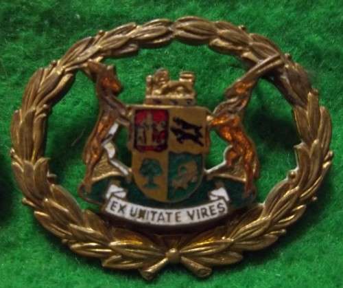 SA POLICE (PRE 1994) 2 X WO RANK BADGES - 2 PINS ON EACH INTACT