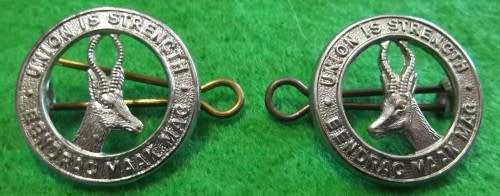 SADF - GENERAL SERVICE COLLAR BADGE PAIR (CHROME) - LUGS INTACT