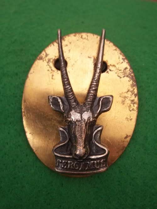 SADF / SWATF HQ CAP BADGE AND BACKING PLATE - PINS AND SCREW INTACT