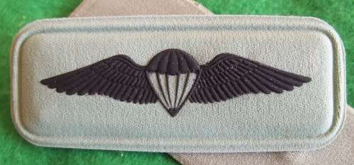 SOUTH AFRICA - BASIC PARA WING - RUBBERISED - PINS INTACT - NEW