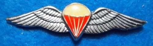 SADF - FREEFALL PARA WING - FULL SIZE - PINS INTACT