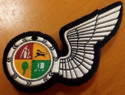SAAF - RUBBERISED - NAVIGATOR HALF WING - PINS INTACT