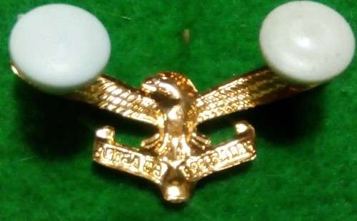 SADF / SAAF GILDING SIDE CAP / COLLAR BADGE (RIGHT FACING) - PINS INTACT