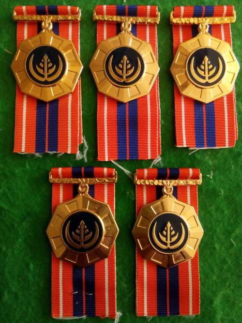 SADF - PRO PATRIA MED. (FULL SIZE) - BID PER MEDAL
