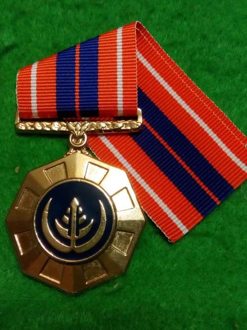 SADF - FULL SIZE PRO PATRIA MEDAL - FLAT ROUNDEL - FIXED SUSPENDER