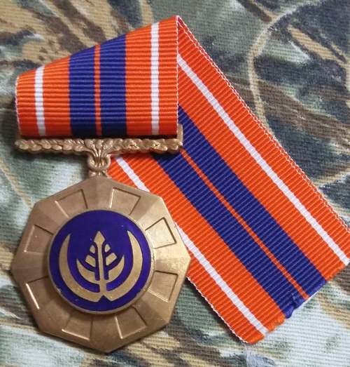 SADF - FULL SIZE PRO PATRIA MEDAL - ENAMEL ROUNDEL - FIXED SUSPENDER
