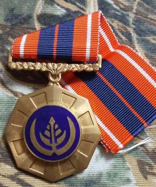 SADF - FULL SIZE PRO PATRIA MEDAL - ENAMEL ROUNDEL - FIXED SUSPENDER