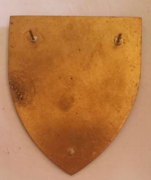 SADF - 2 FIELD ENGINEER REGIMENT METAL FLASH - PINS INTACT