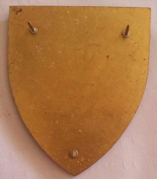 SADF - 2 FIELD ENGINEER REGIMENT METAL FLASH - PINS INTACT