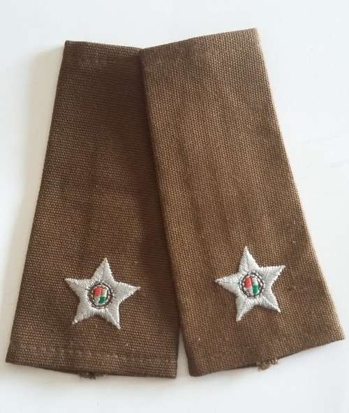 SADF -  2LT SLIP ON RANK PAIR - LAST NUTRIA DRESS