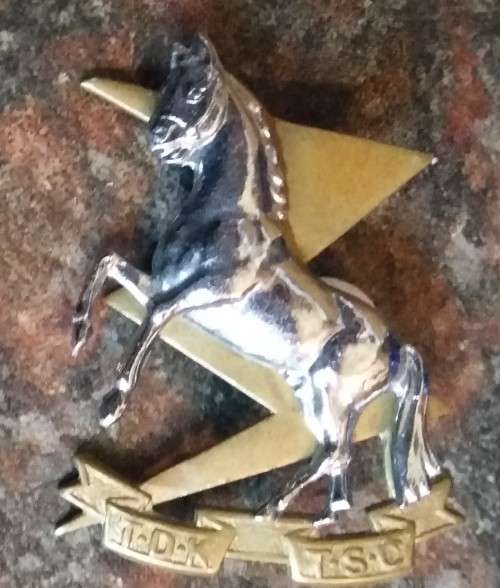 SADF -  TSC COLLAR BADGE - PINS INTACT