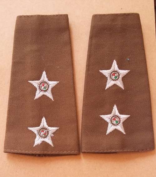 SADF -  LT SLIP ON RANK PAIR - LAST NUTRIA DRESS