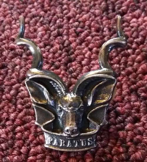 SADF / SWATF - AREA FORCE CAP/BERET BADGE - SCREW POSTS INTACT