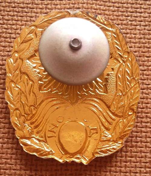 UKRAINE / USSR DEMOBILISATION BADGE