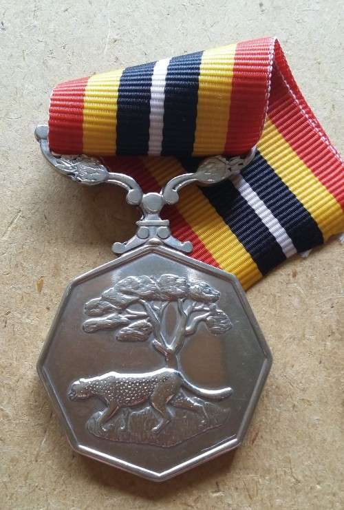 SADF - SOUTHERN AFRICA MEDAL (FULL SIZE) - RIM NUMBERED
