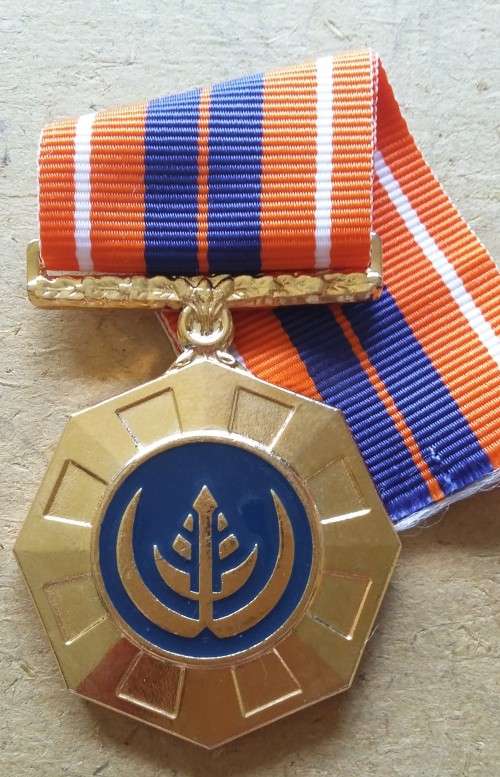 SADF - PRO PATRIA MEDAL -  FLAT ROUNDEL - NUMBERED