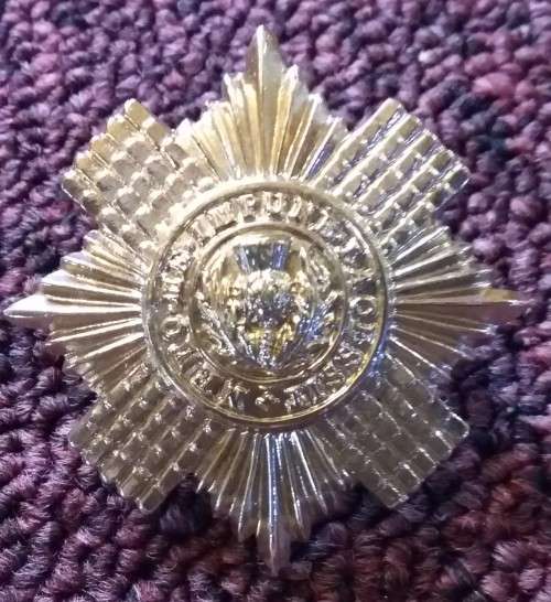 SCOTLAND - SCOTTISH GUARD ANODISED BERET BADGE (CURRENT) - LUGS INTACT